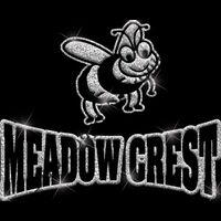 GLT32 SILVER GLITTER Thumbnail