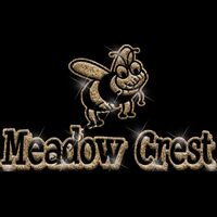 GLT17 GOLD GLITTER Thumbnail